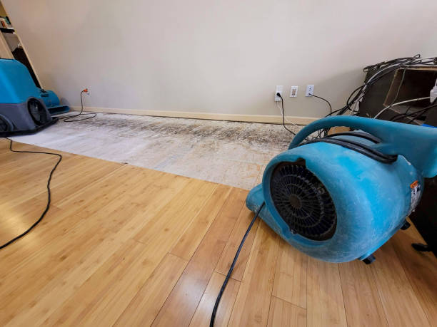 Professional Sewage Cleanup technician working in Guatay, CA